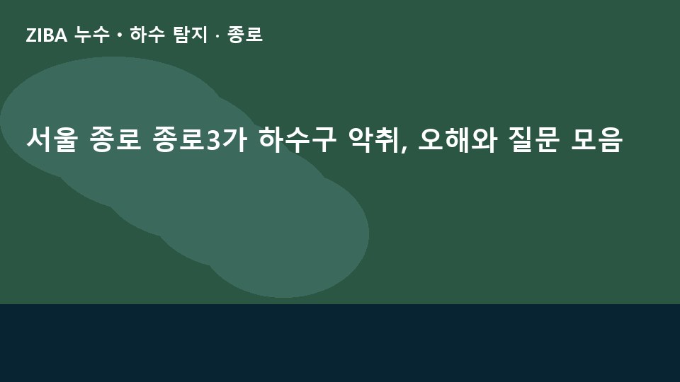 서울 종로 종로3가 하수구 악취, 오해와 질문 모음
