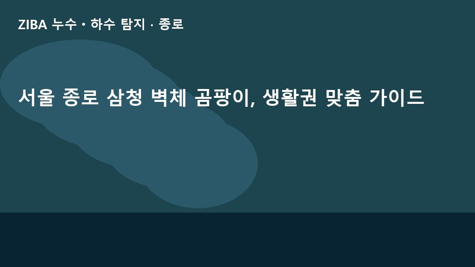 서울 종로 삼청 벽체 곰팡이, 생활권 맞춤 가이드