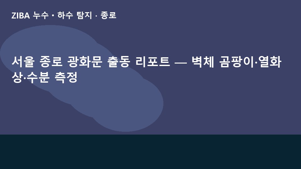 서울 종로 광화문 출동 리포트 — 벽체 곰팡이·열화상·수분 측정