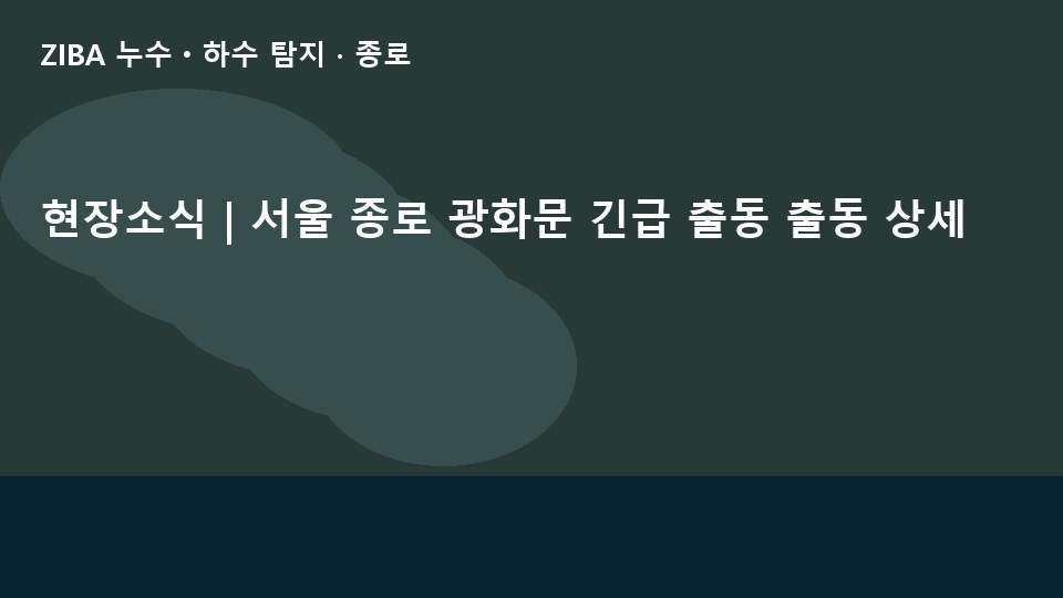 현장소식 | 서울 종로 광화문 긴급 출동 출동 상세