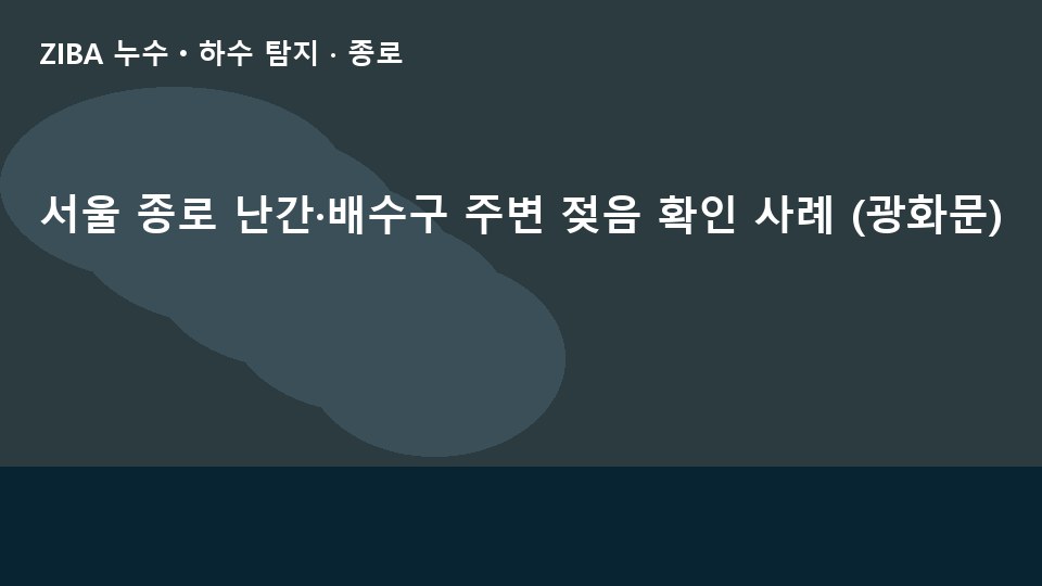 서울 종로 난간·배수구 주변 젖음 확인 사례 (광화문)